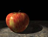 0069 Apple19