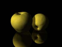 0075 Heidrun_Salmhofer_stilllife