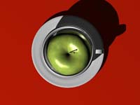 0078 bayler_brigitte_apple03
