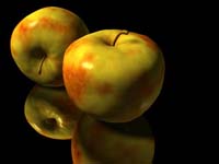 0080 zuderstorfer_david_apple